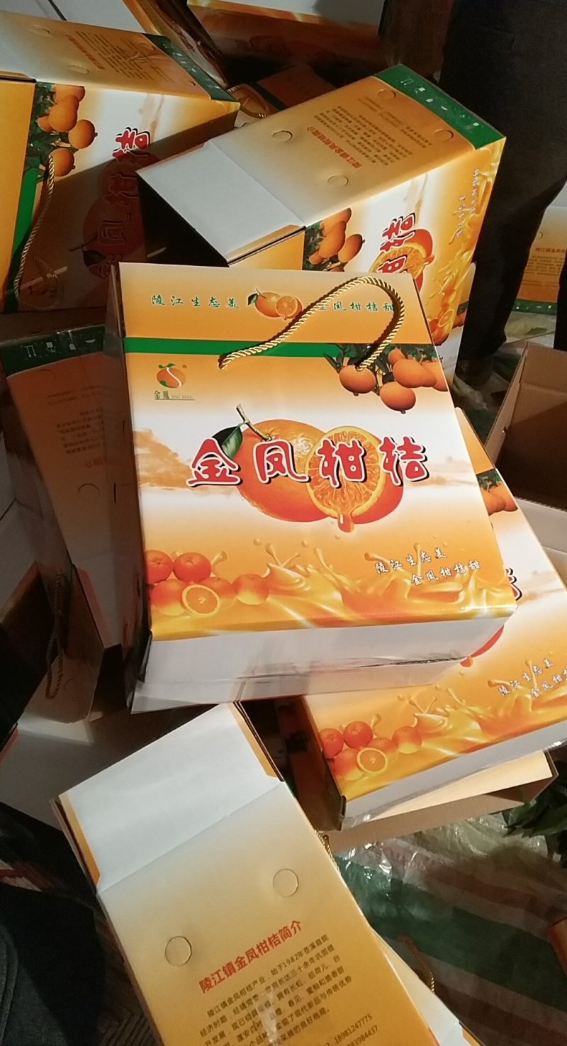 金凤脐橙