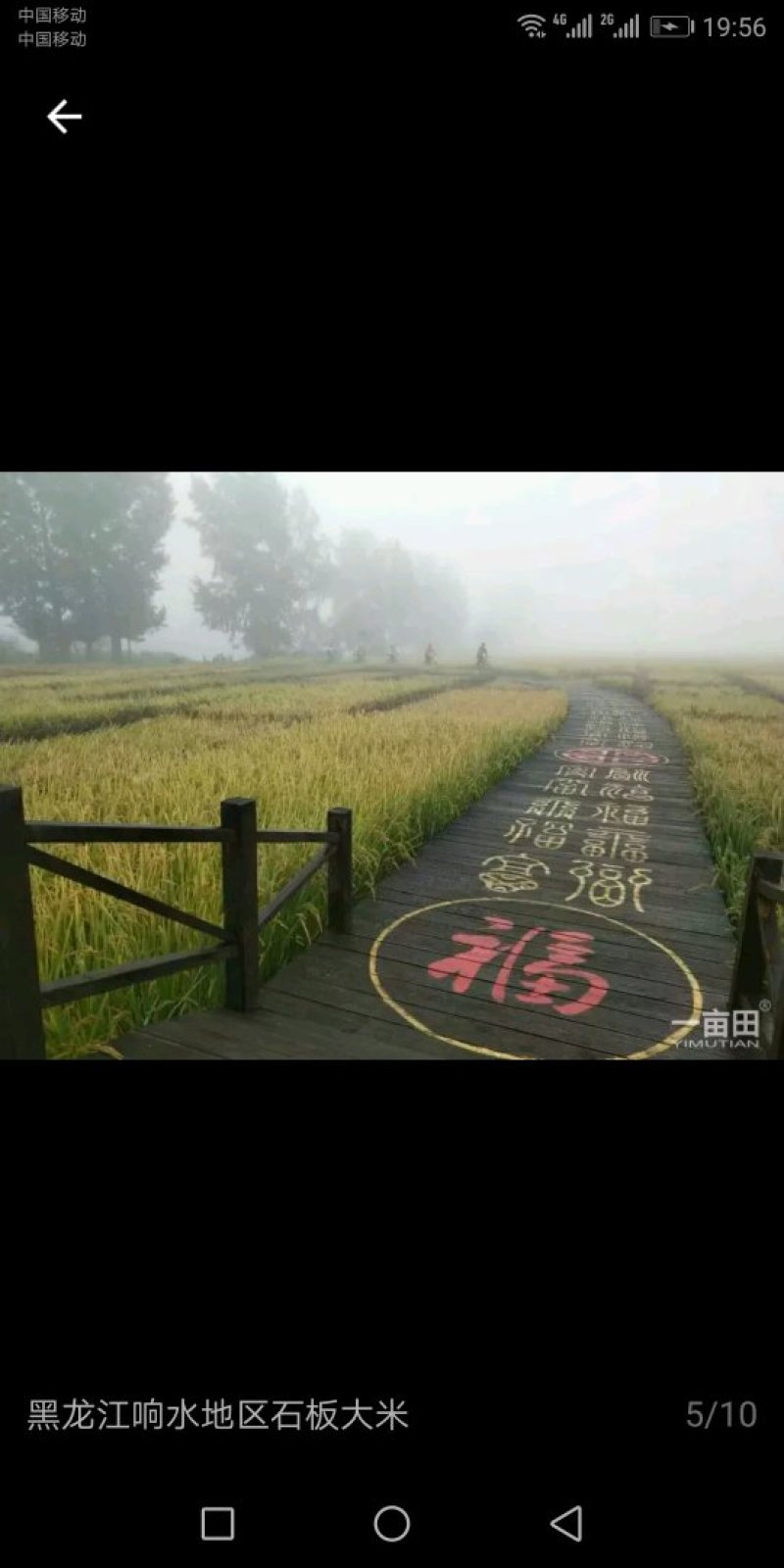 中国🇨🇳中央贡米，包邮