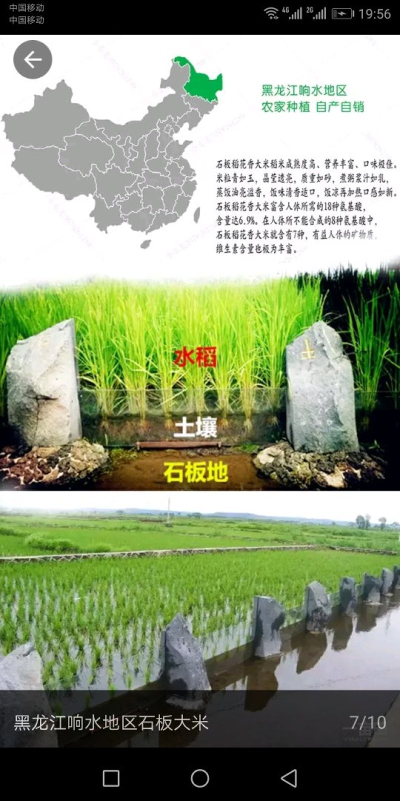 中国🇨🇳中央贡米，包邮