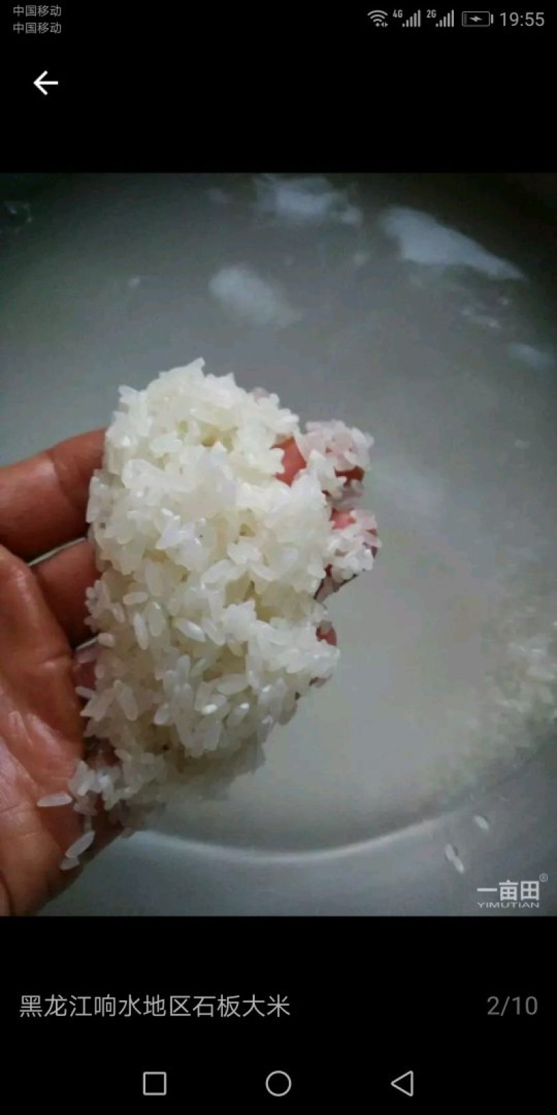 中国🇨🇳中央贡米，包邮