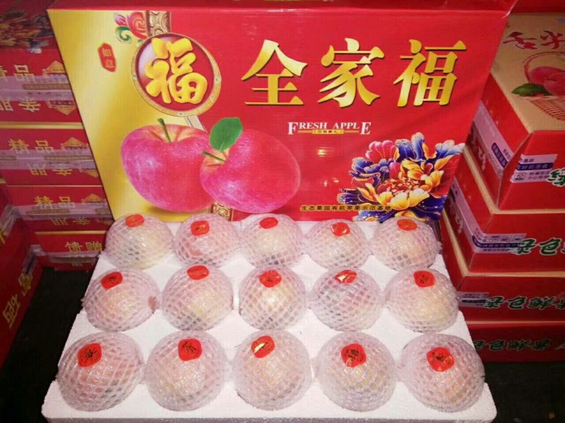 山西苹果，红富士