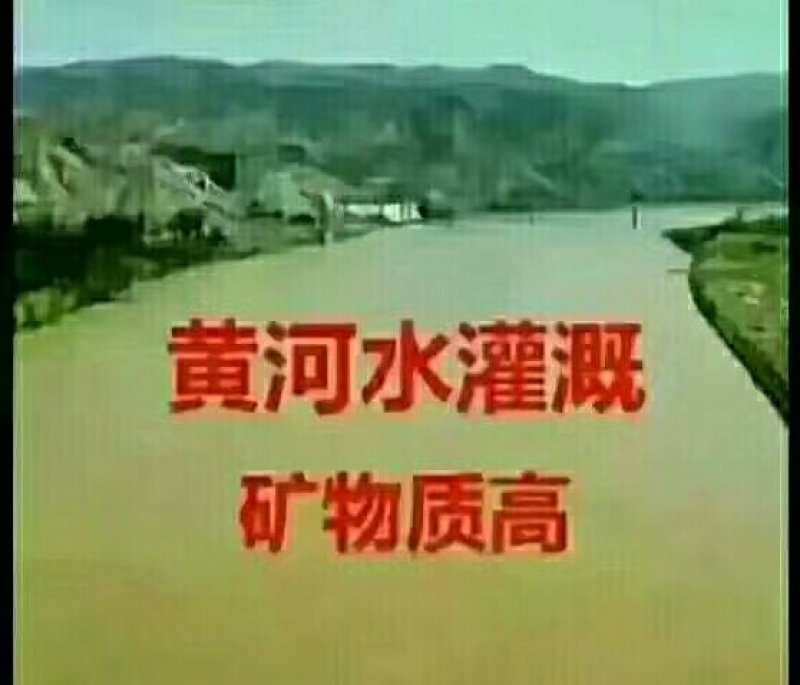 山西苹果，红富士