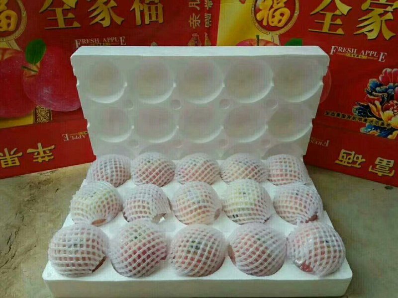 山西苹果，红富士
