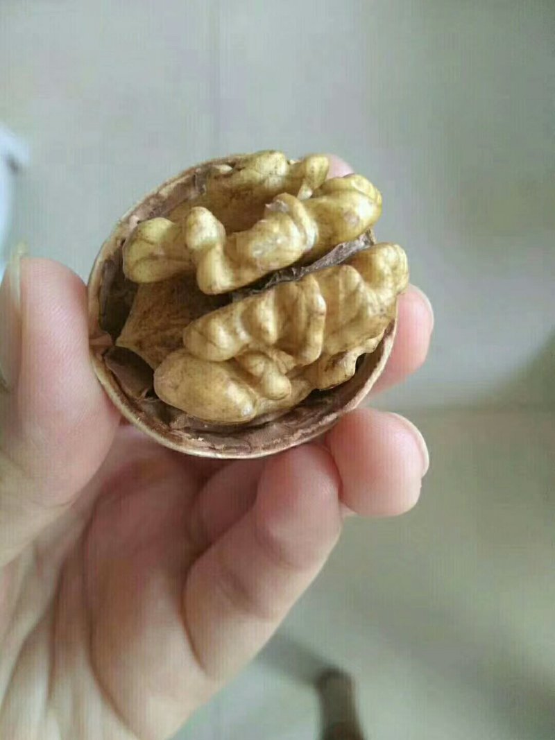 核桃，柿饼