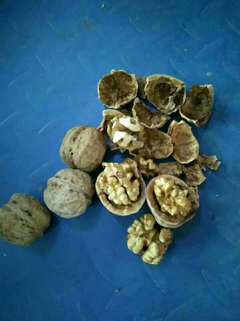核桃，柿饼