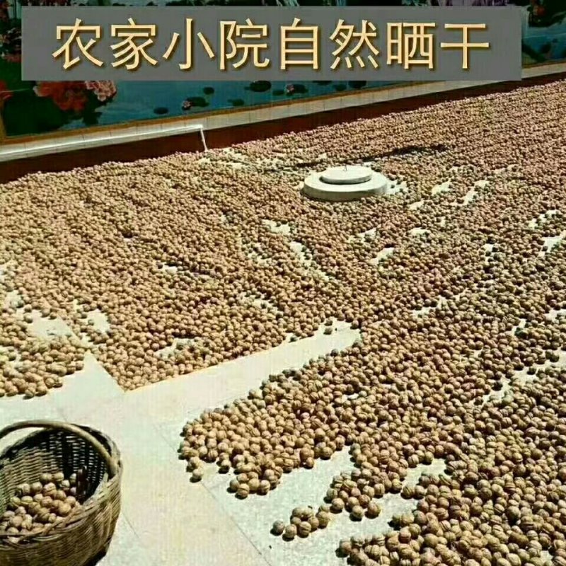 核桃，柿饼