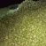大量鲜榨菜上市、欢迎订购