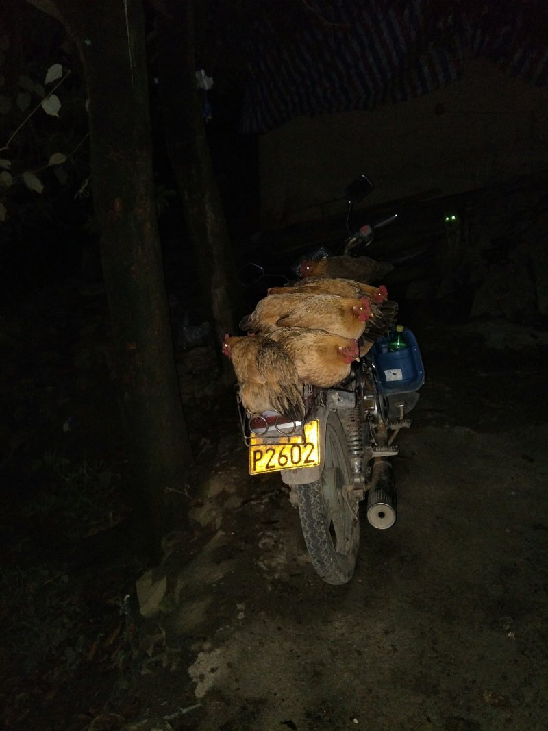 甘源竹仓土鸡家的味道