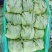 球生菜，品质好，球生菜产地，质量好价格低，