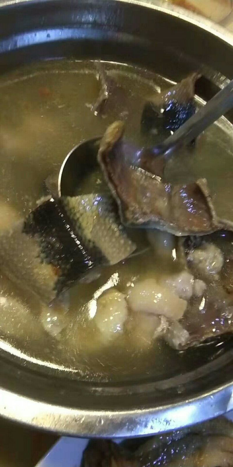 海蛇