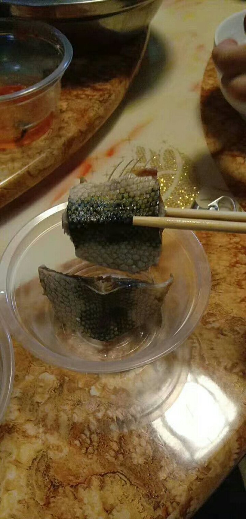 海蛇