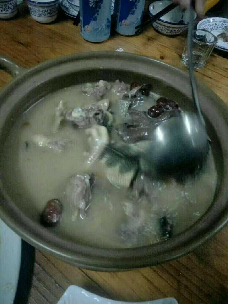 海蛇
