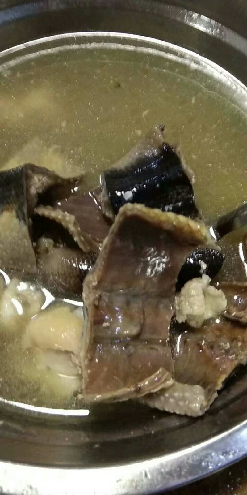 海蛇