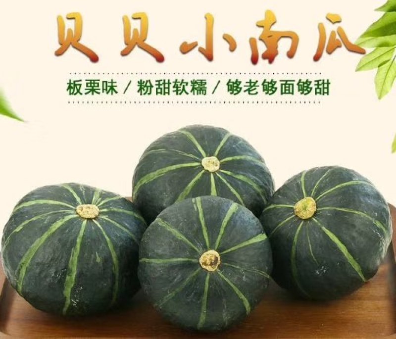 贝贝南瓜