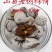 山西老树柿饼支持一件代发