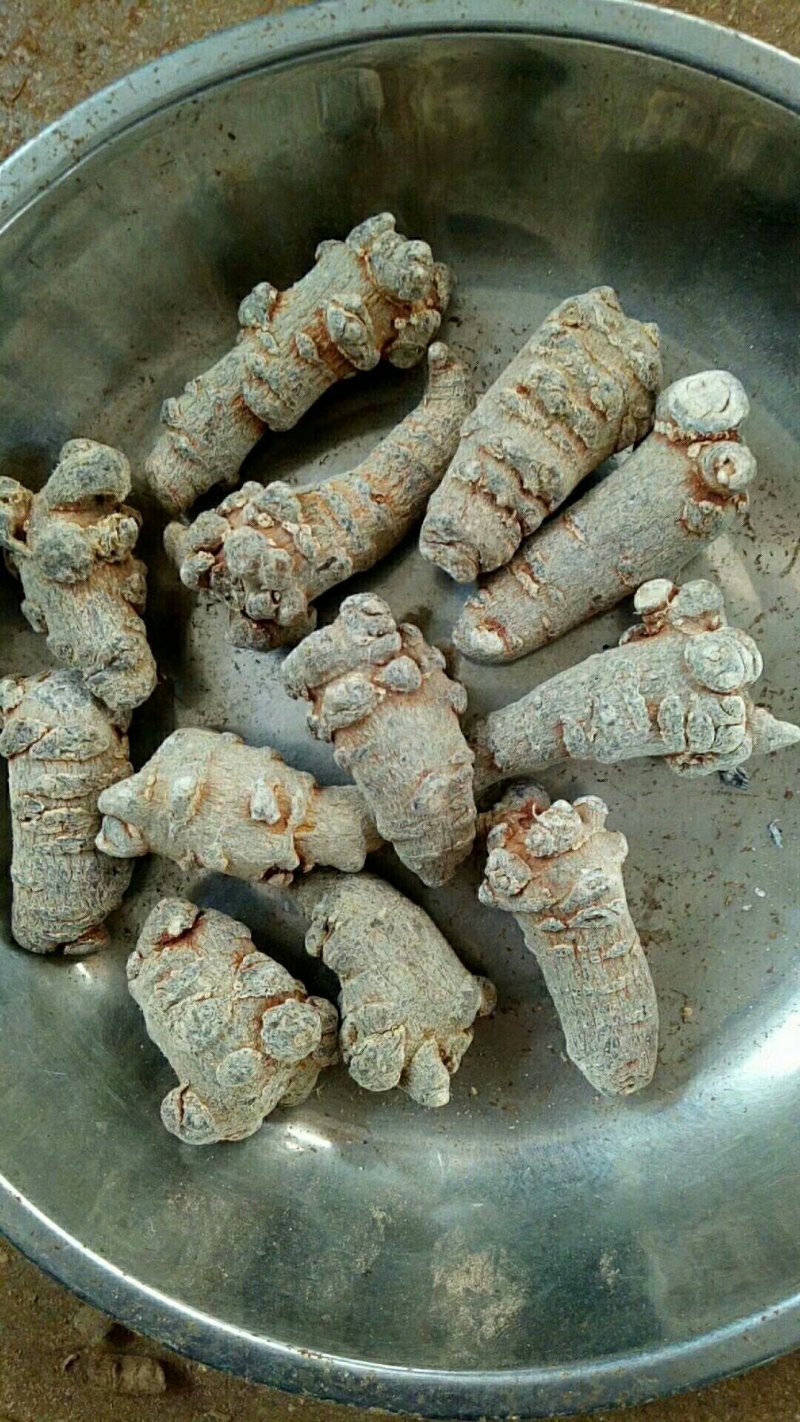 水洗滑头三七30头