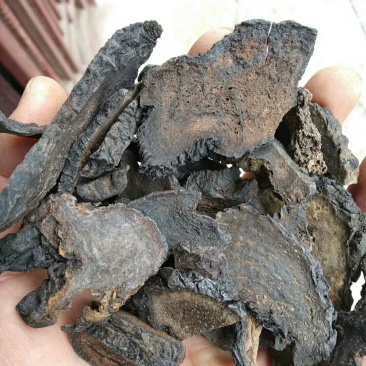 肉苁蓉片