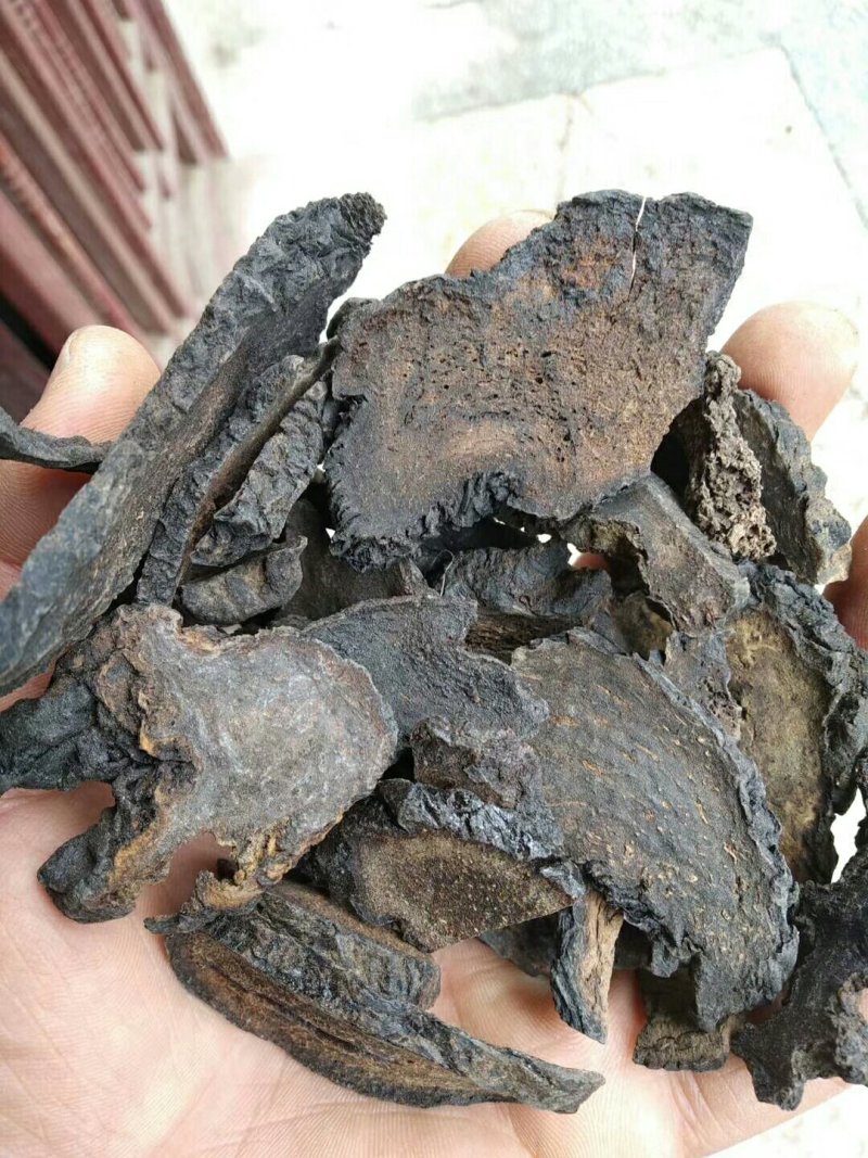 肉苁蓉片
