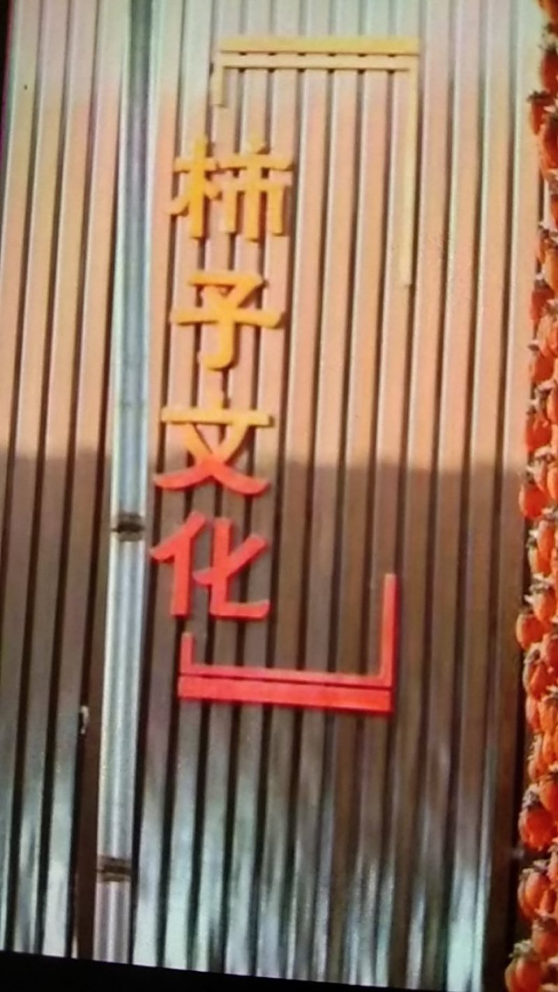 富平柿饼，天下无敌，想吃柿饼的干快下单
