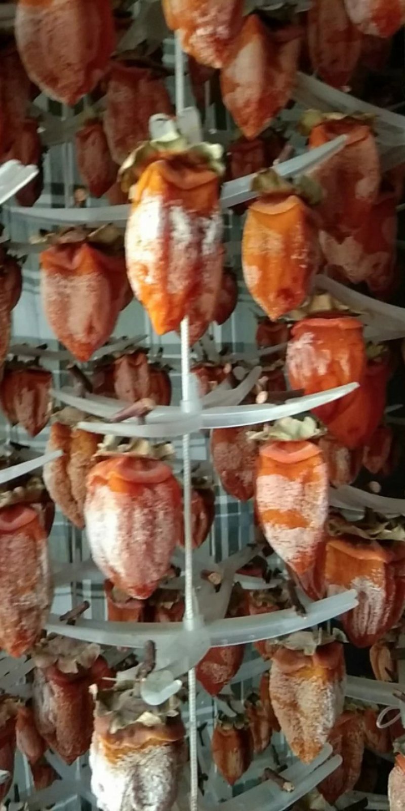 富平柿饼，天下无敌，想吃柿饼的干快下单