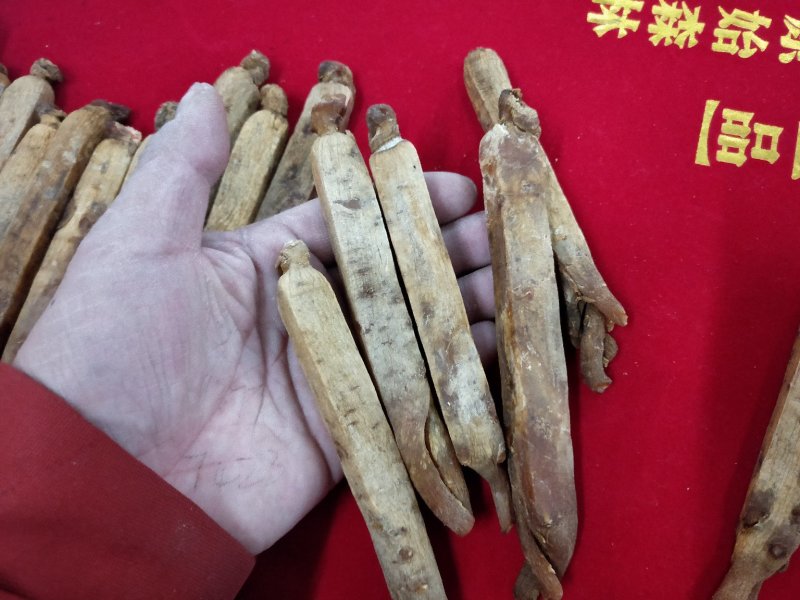 包邮长白山纯无糖高丽参边条优货味道浓