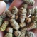 紫皮石斛枫斗禄色精品货