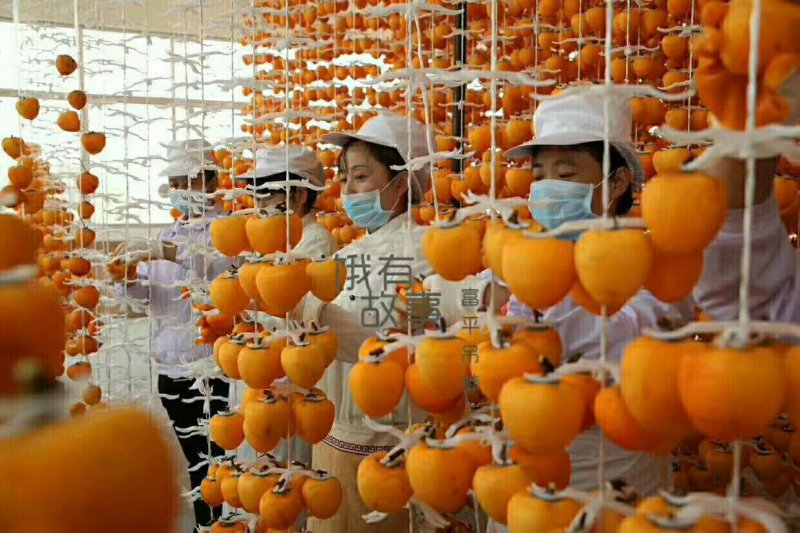 有一种果脯叫：柿饼有一个定位叫：陕西有一个品质叫：纯