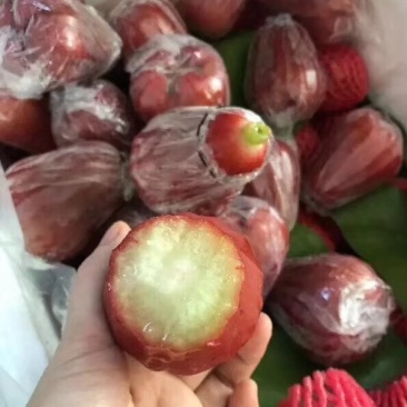 莲雾