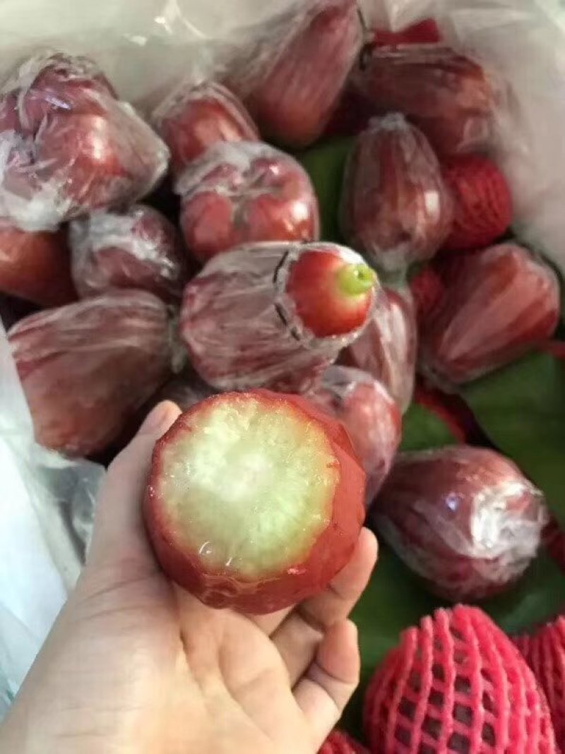 莲雾