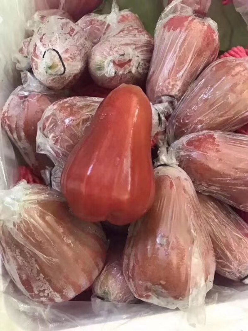 莲雾