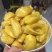 菠萝密