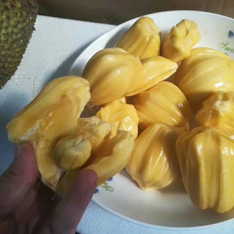 菠萝密