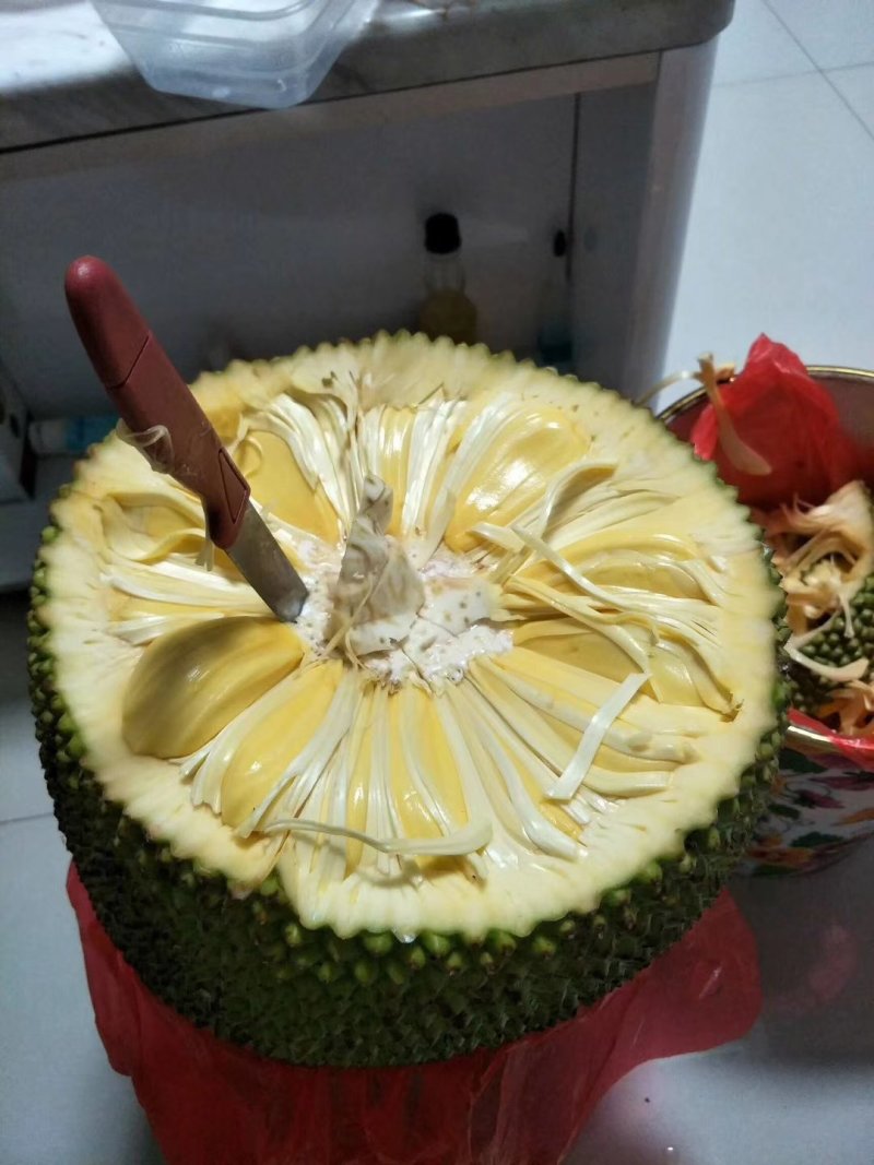 菠萝密