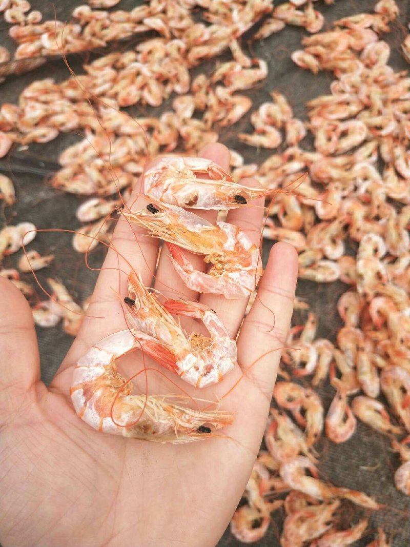 四斤一箱子渤海湾正宗即食虾烤干虾，烘干虾，南美虾干对虾干