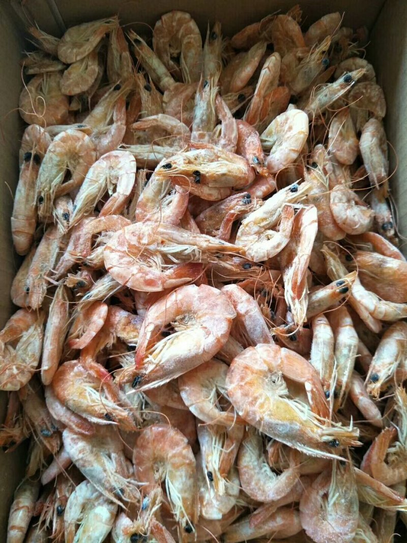 四斤一箱子渤海湾正宗即食虾烤干虾，烘干虾，南美虾干对虾干