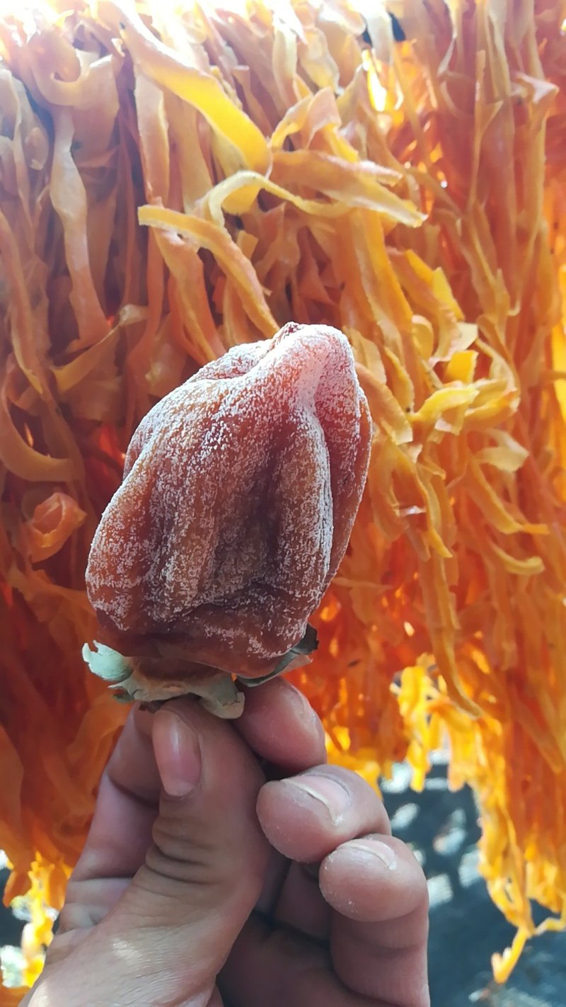 喜迎双十二，柿饼优惠啦😊
