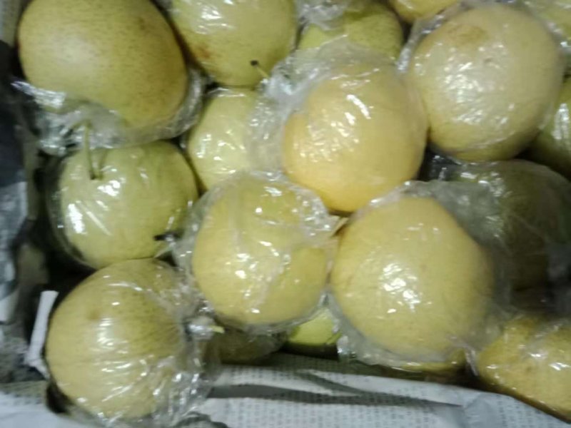 库存优质皇冠梨
