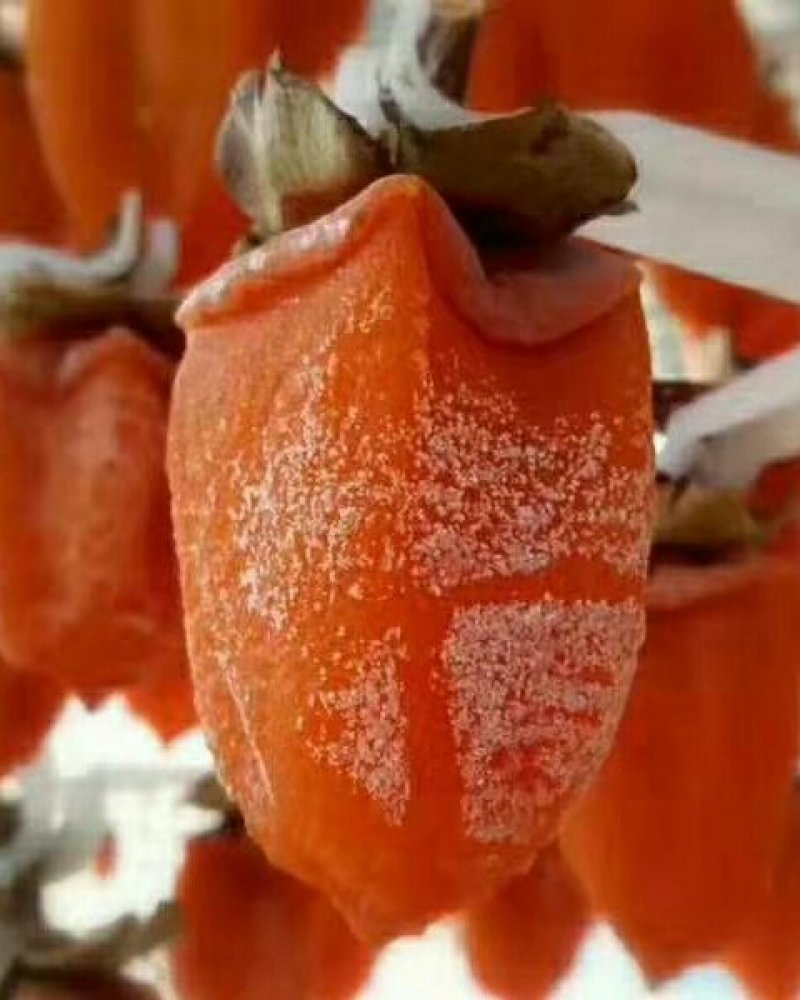 柿饼富平柿饼，柔软甜蜜。非常可口。让人回味无穷。