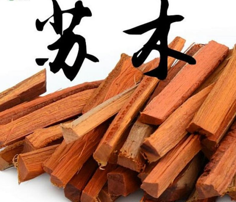 苏木种子高发芽率种苗供应