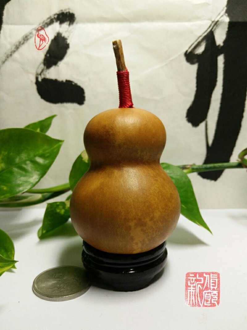 新货廊文玩葫芦种子超市，在售品种150余种，支持淘宝和微
