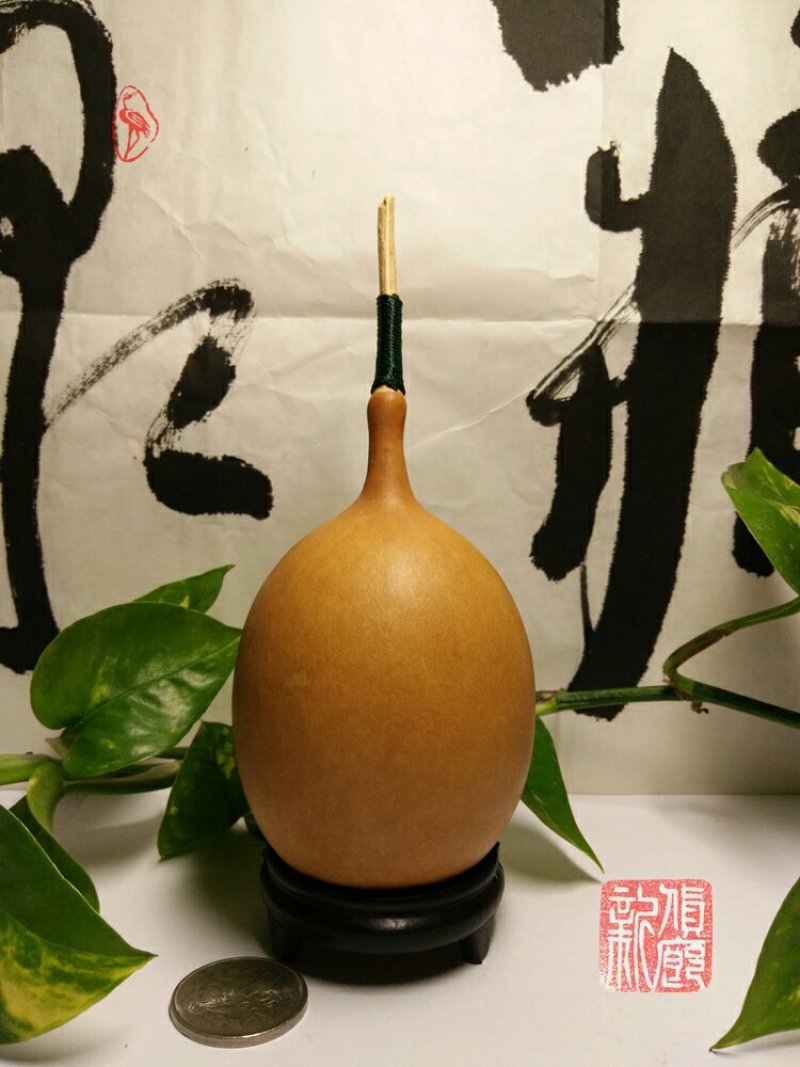 新货廊文玩葫芦种子超市，在售品种150余种，支持淘宝和微
