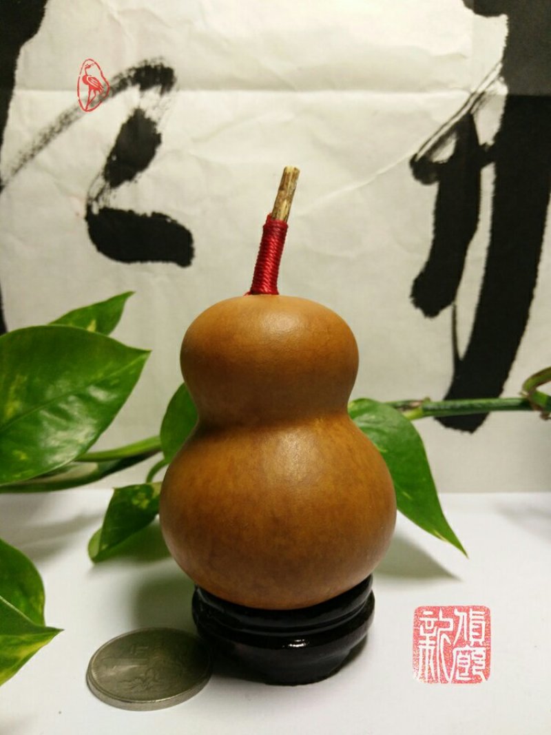 新货廊文玩葫芦种子超市，在售品种150余种，支持淘宝和微