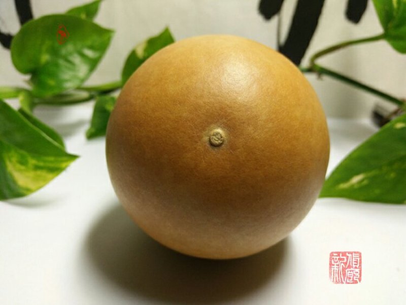 新货廊文玩葫芦种子超市，在售品种150余种，支持淘宝和微