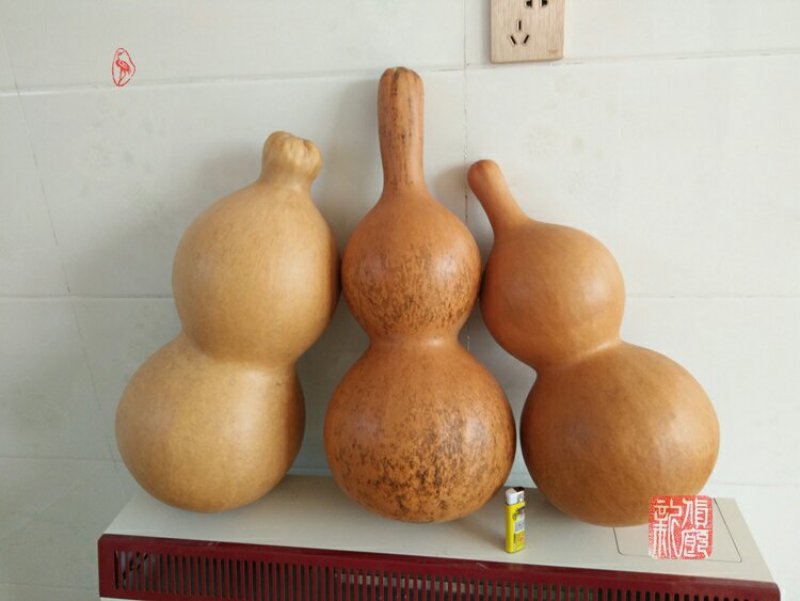 新货廊文玩葫芦种子超市，在售品种150余种，支持淘宝和微