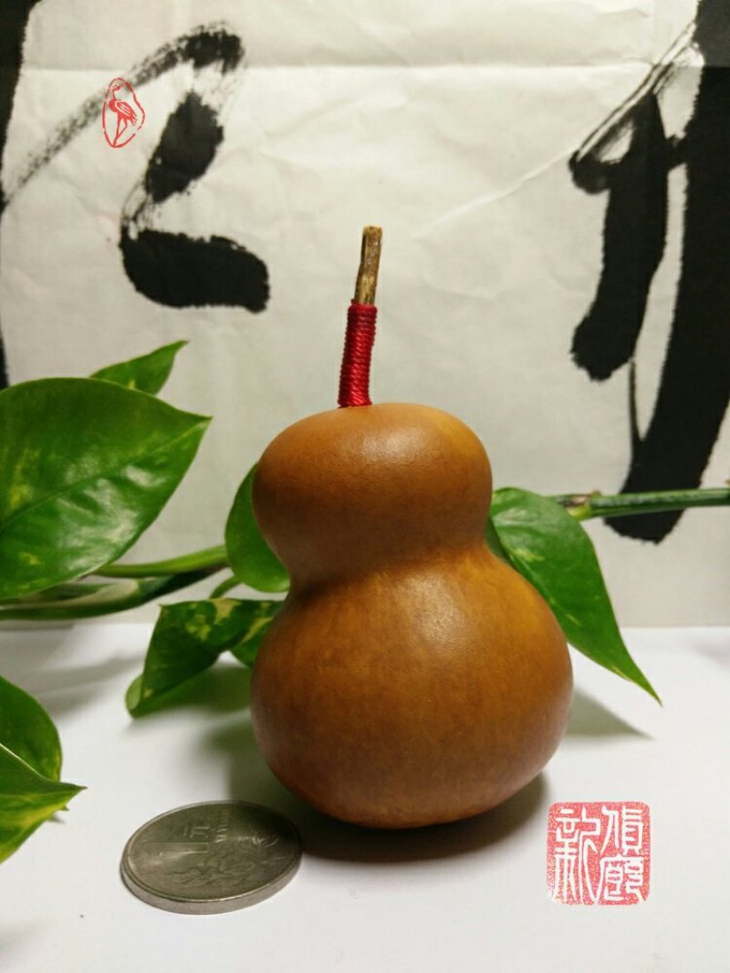 新货廊文玩葫芦种子超市，在售品种150余种，支持淘宝和微