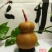 新货廊文玩葫芦种子超市，在售品种150余种，支持淘宝和微