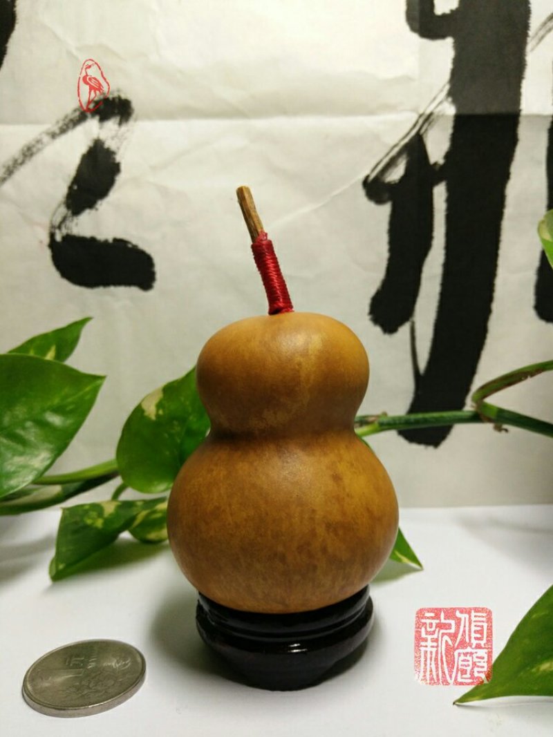 新货廊文玩葫芦种子超市，在售品种150余种，支持淘宝和微