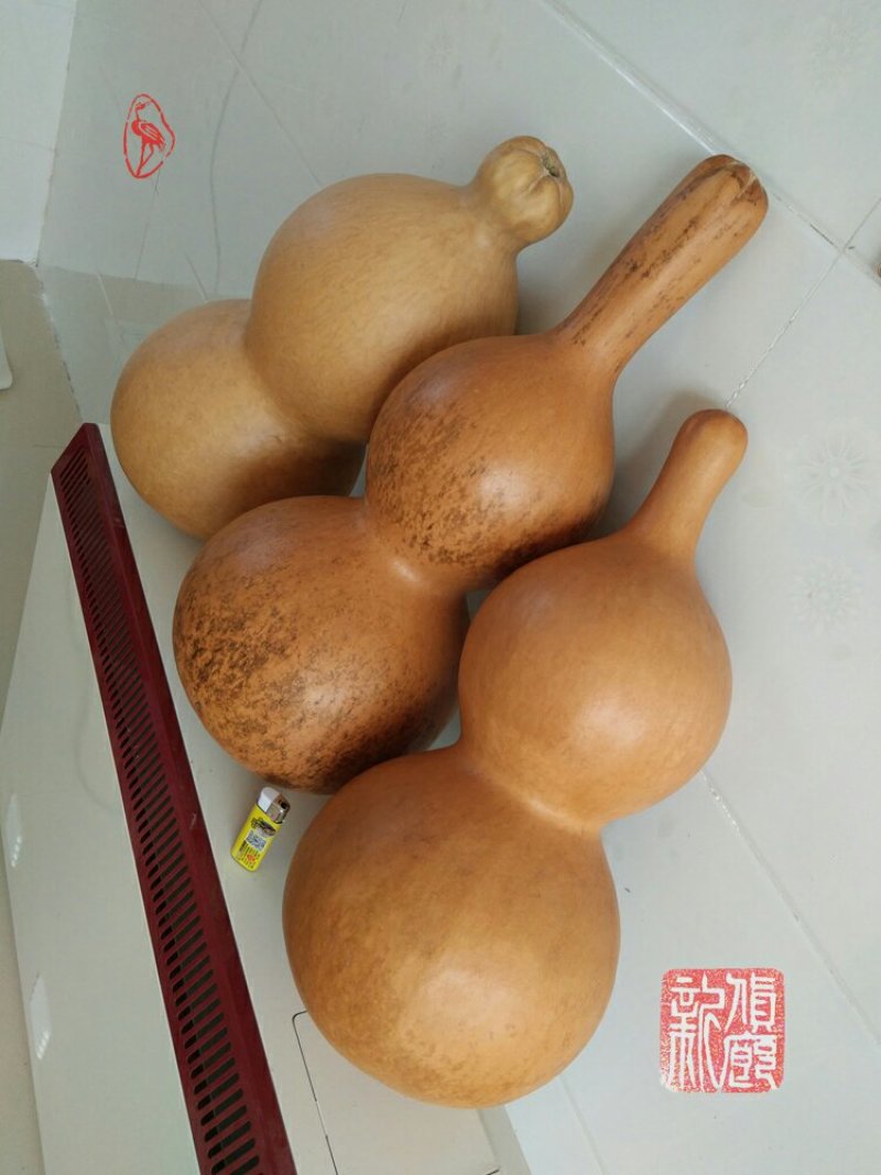 新货廊文玩葫芦种子超市，在售品种150余种，支持淘宝和微