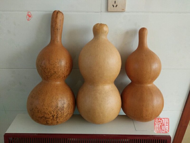 新货廊文玩葫芦种子超市，在售品种150余种，支持淘宝和微