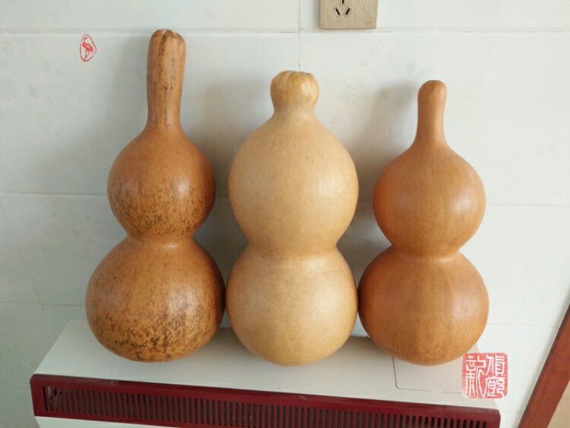新货廊文玩葫芦种子超市，在售品种150余种，支持淘宝和微